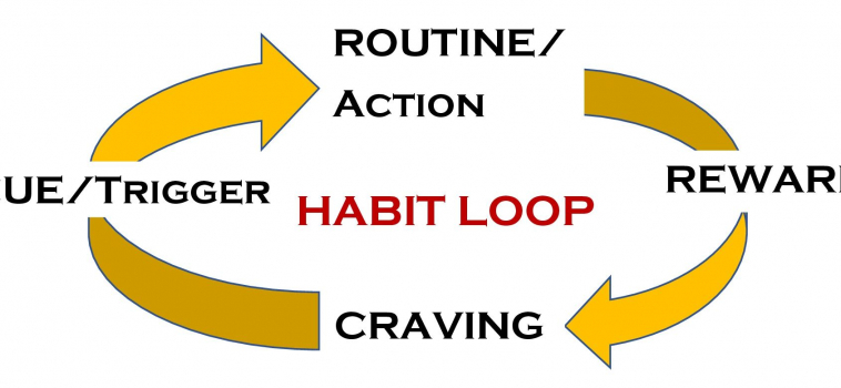 Conquer Your Habit: part 2 of Habits and Behaviors
